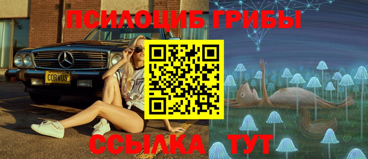 Галлюциногенные грибы прущие грибы Усть-Кут